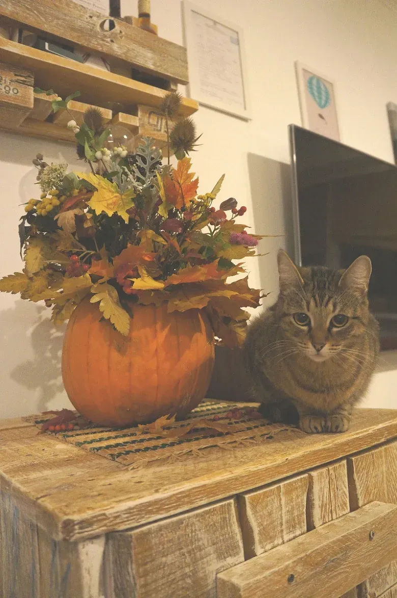 Ящик, ящичек и тыква :-)